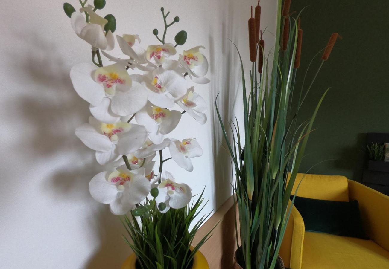 Casa Vacanze Ada Ragusa Dış mekan fotoğraf